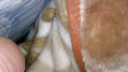 Vennad ja õed XXX Latina